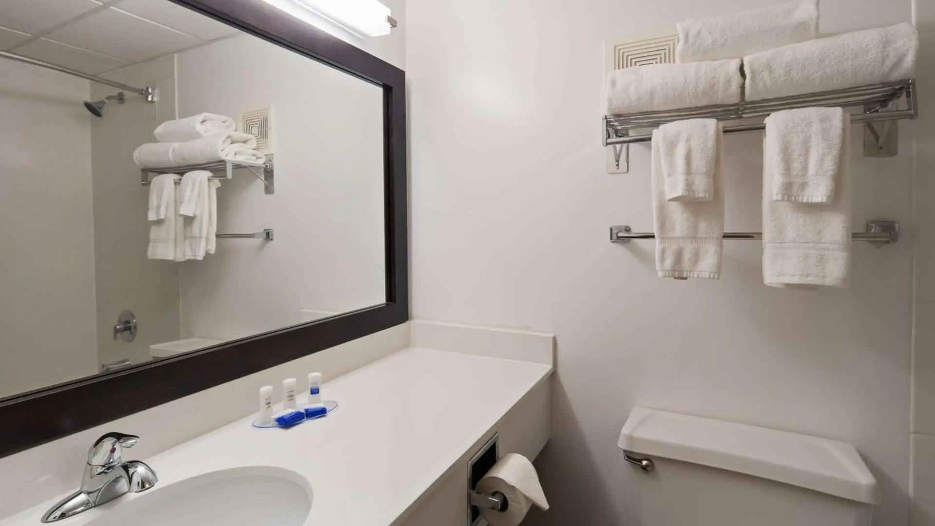 Best Western Albany Airport Inn
