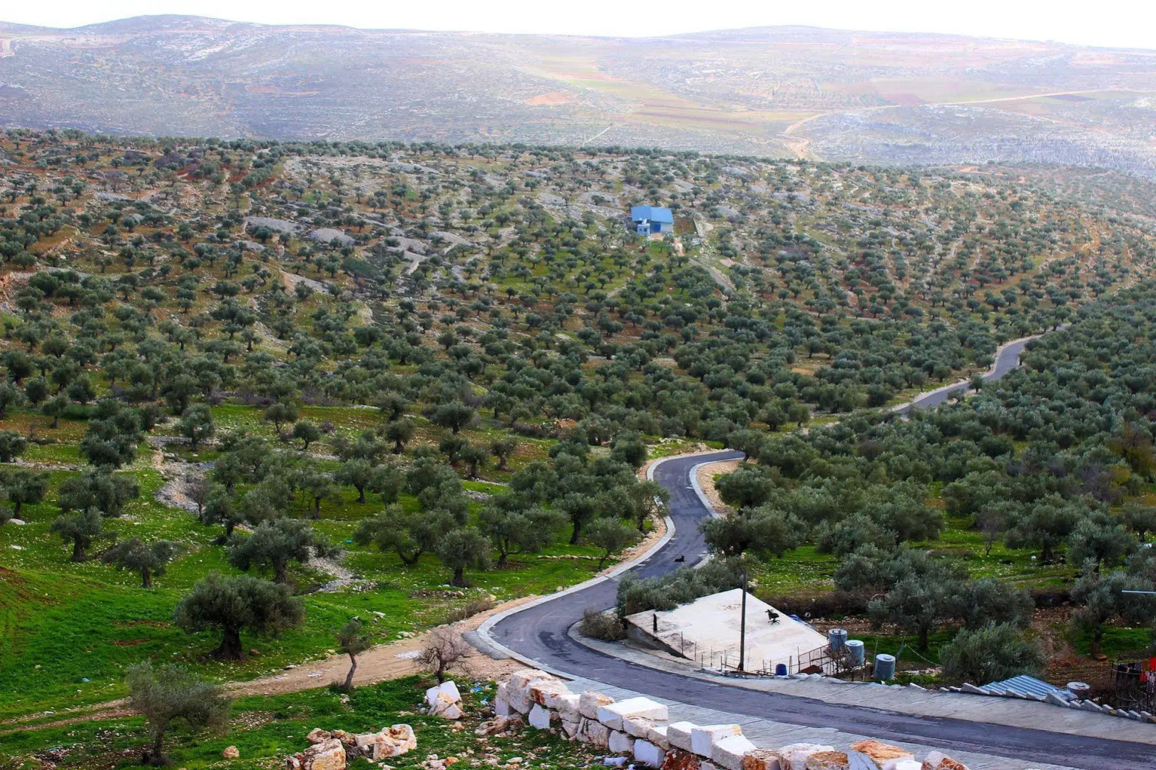 Taybeh Golden Hotel