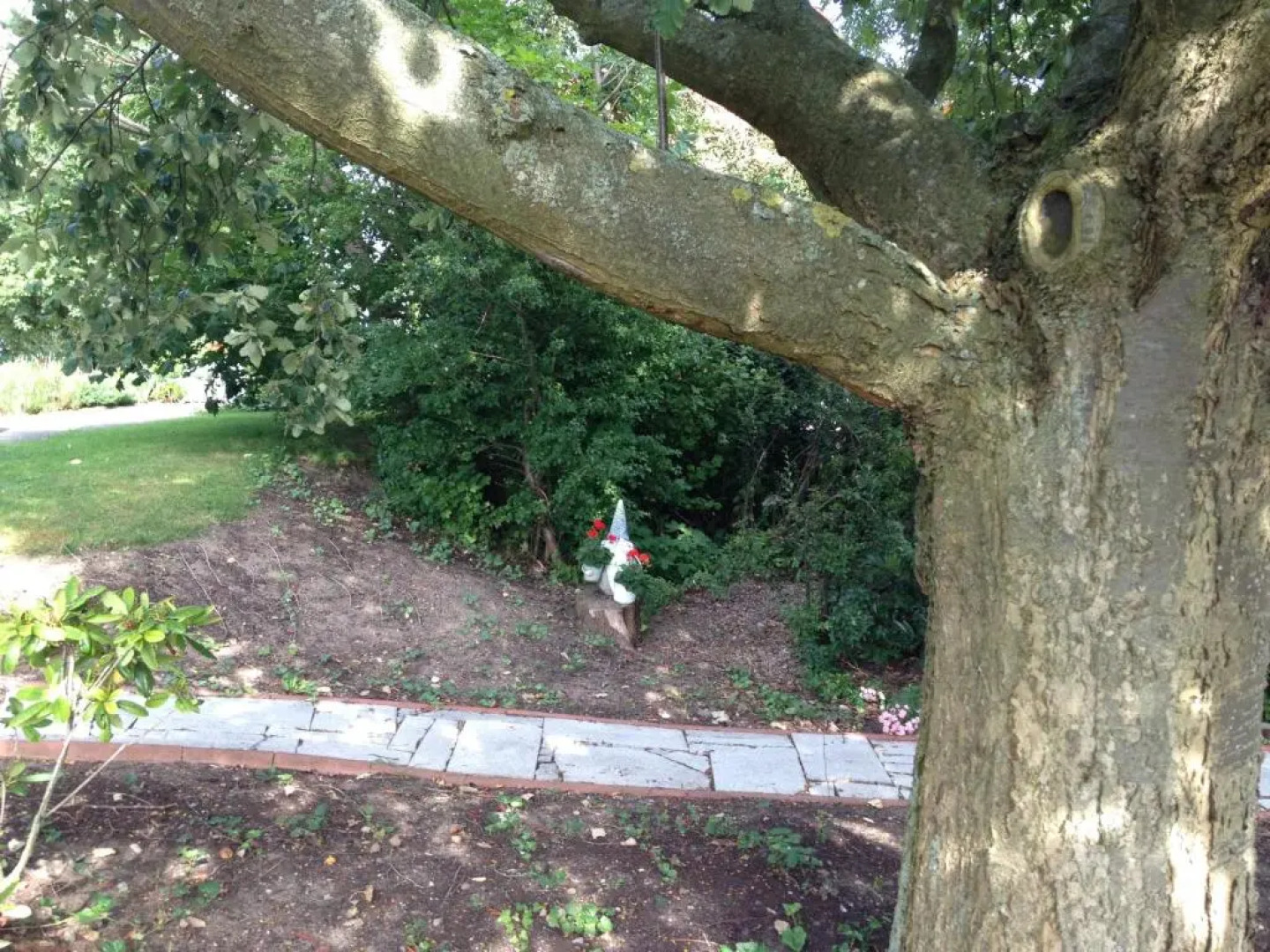 Solrosen i Simrishamn