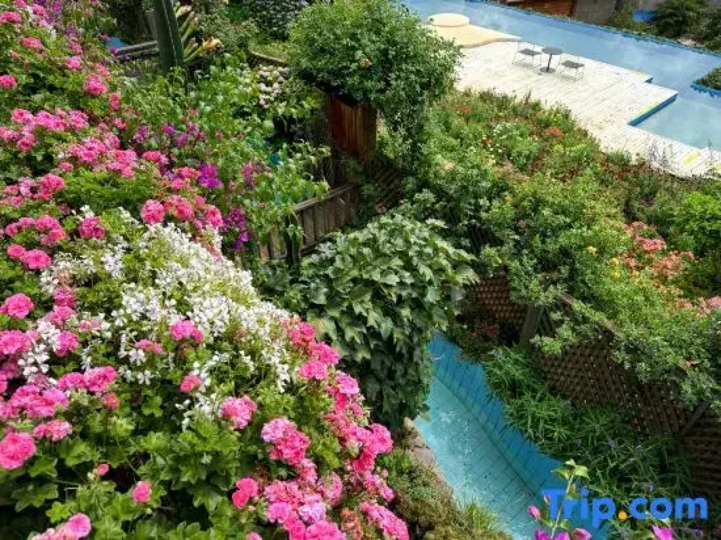 Tinghuatang Seaview Garden Inn