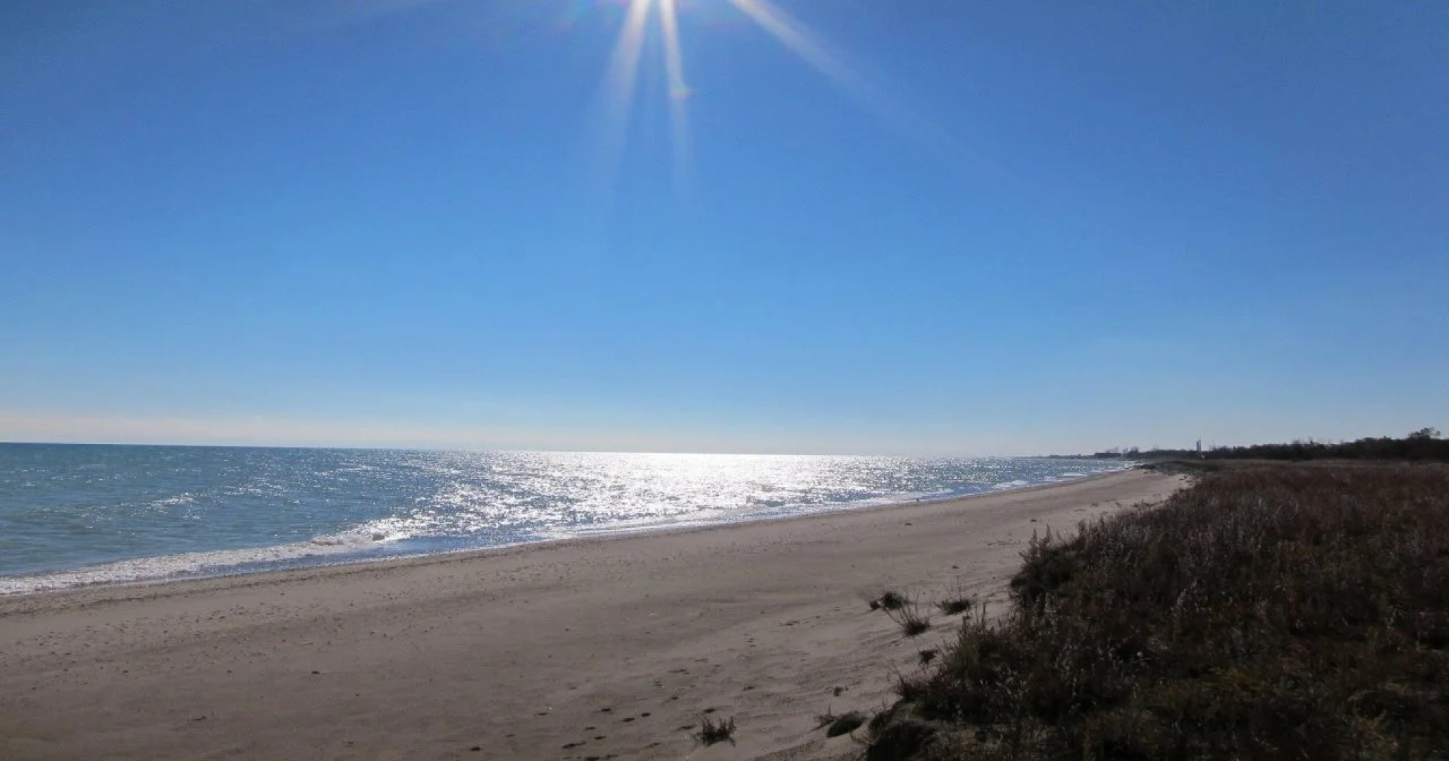 Sonesta Simply Suites Chicago Waukegan