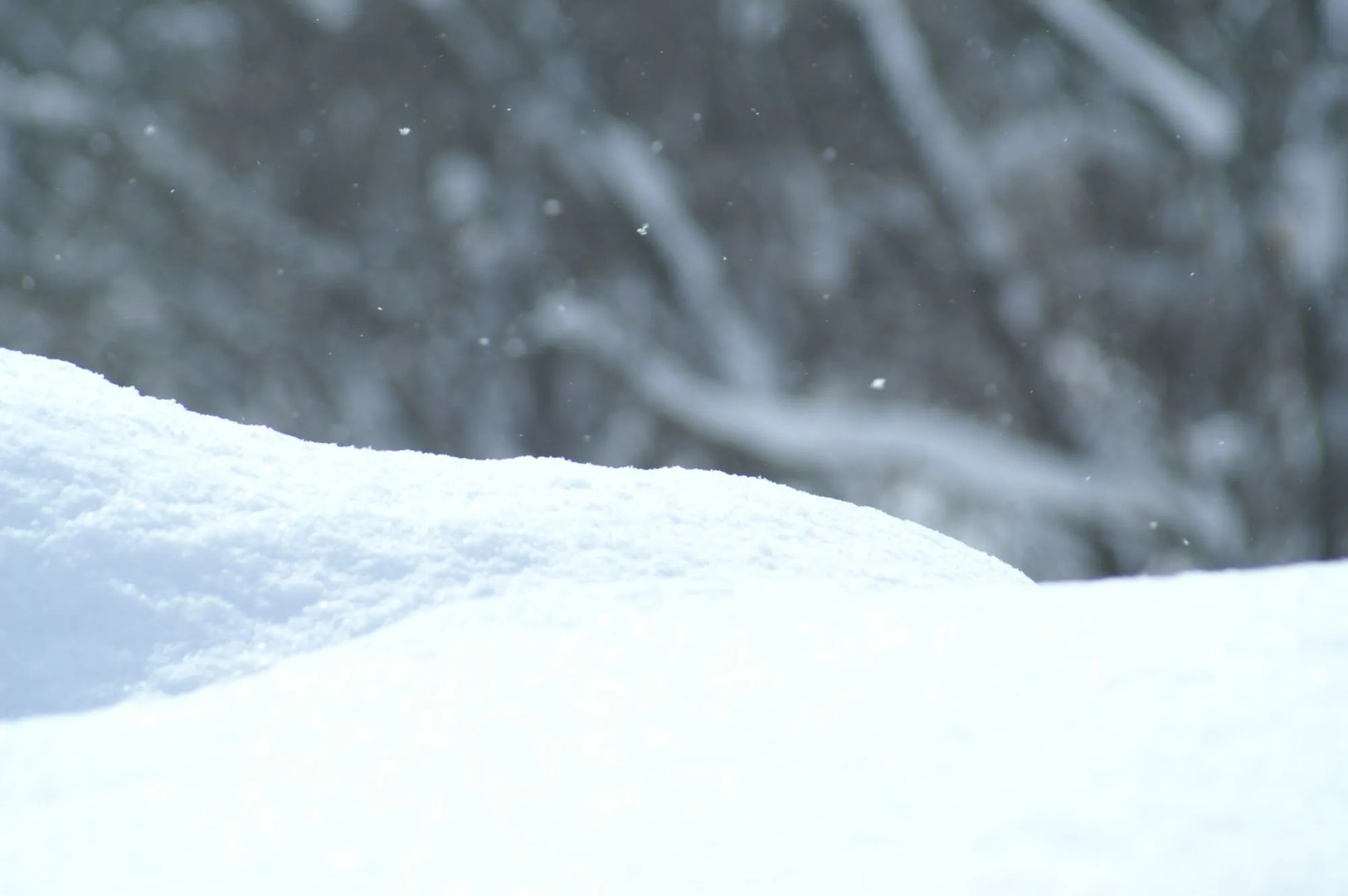 Yumoto Niseko Prince Hotel Hirafutei