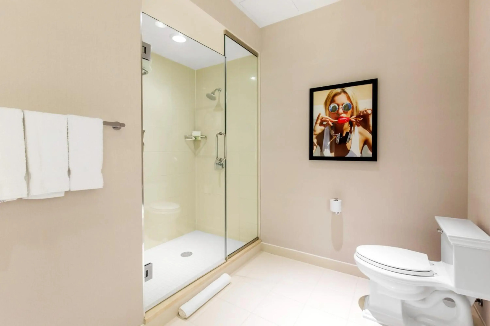 The Chicago Hotel Collection Magnificent Mile Hotel & Suites 