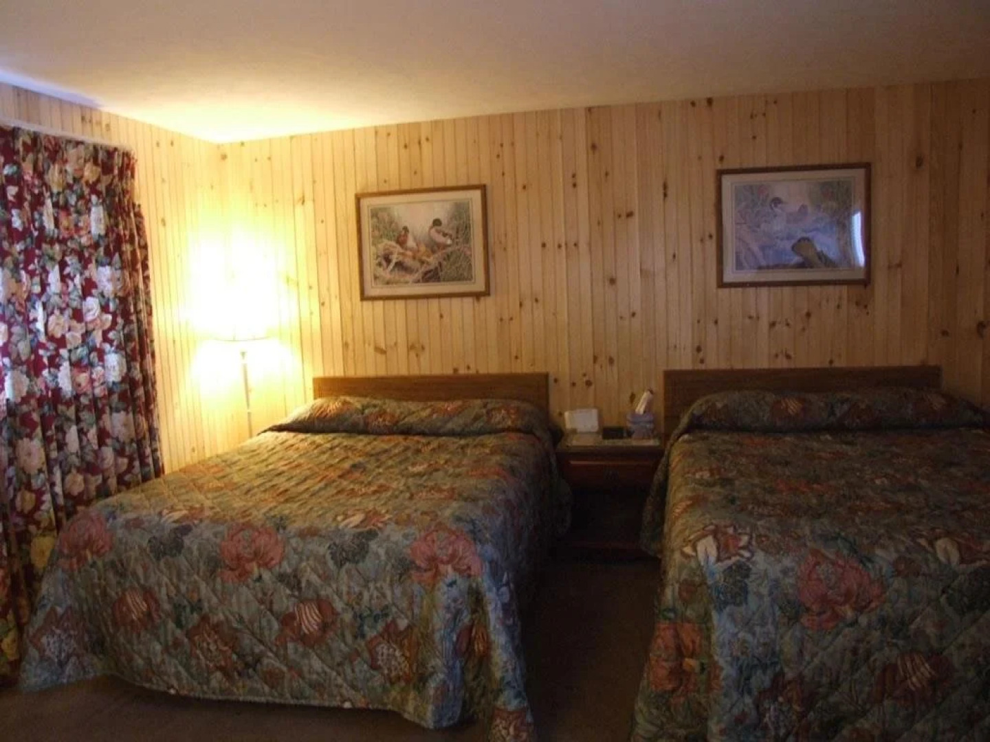 Dreamland Motel