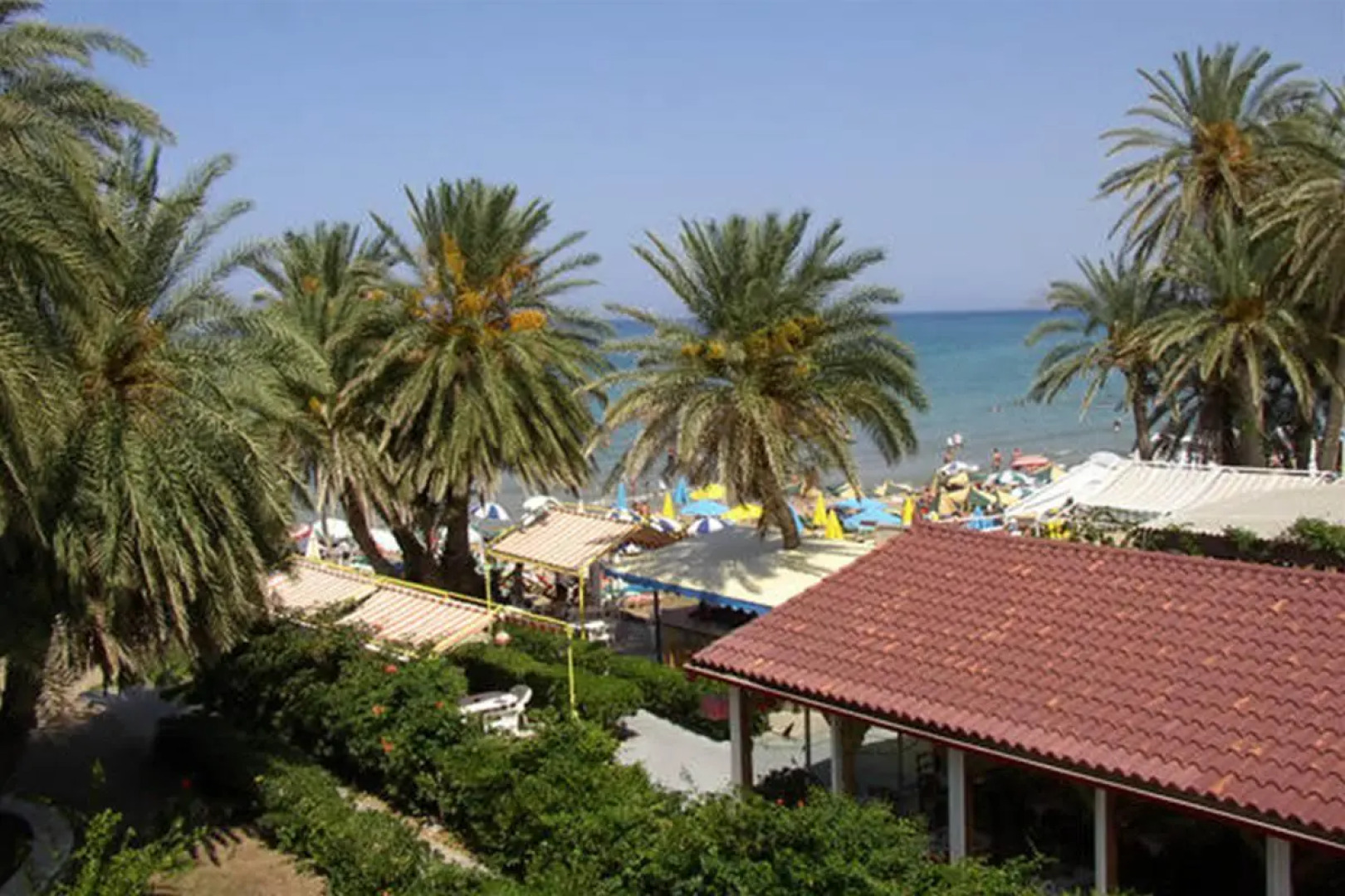 Zeus Hotels Palm Beach