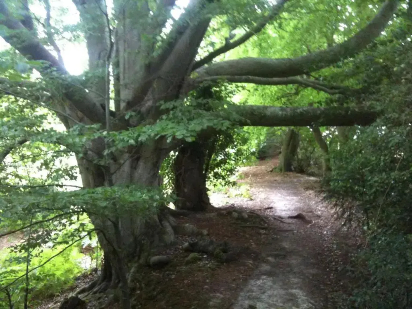 Big Sky Tipi Holidays