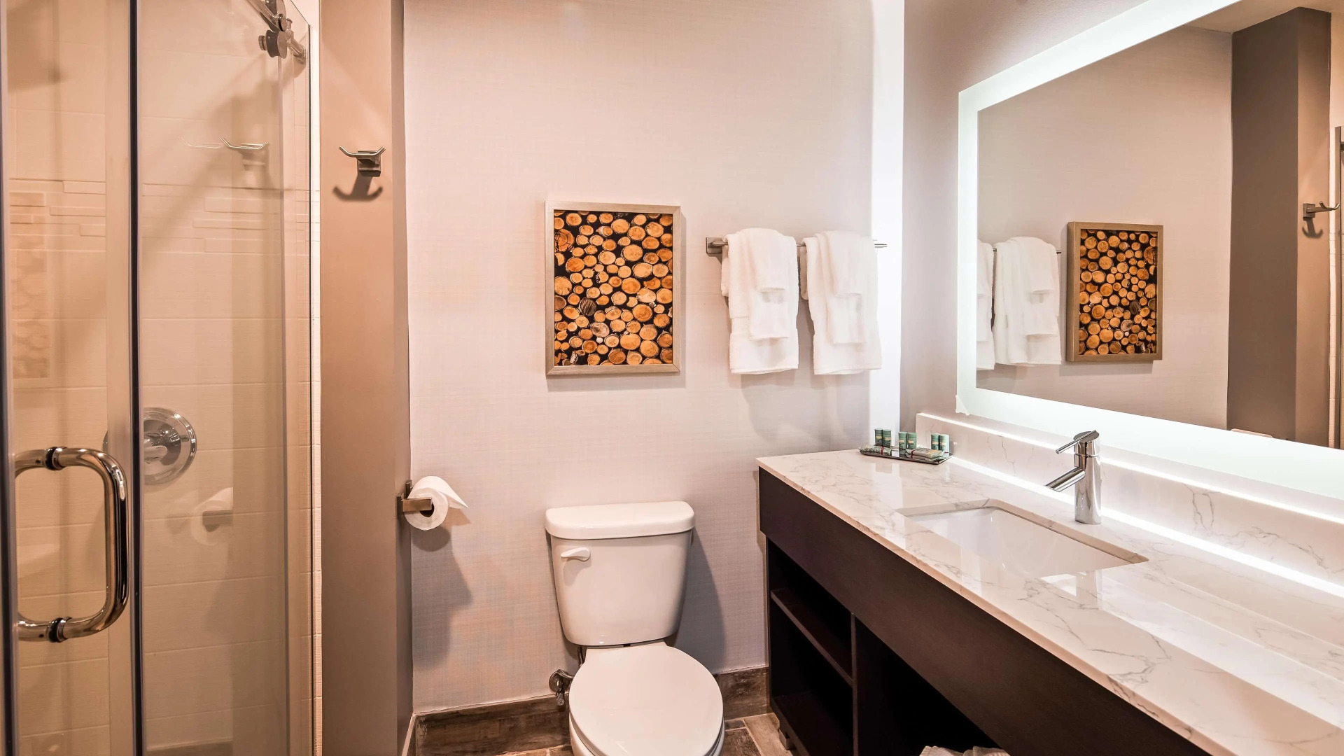 Aiden by Best Western Warm Springs Hotel and Event