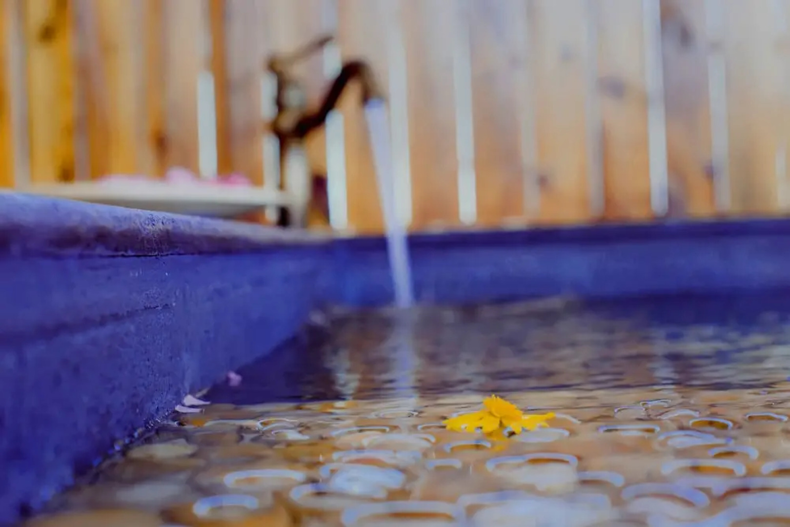 Loving Clouds Family Inn