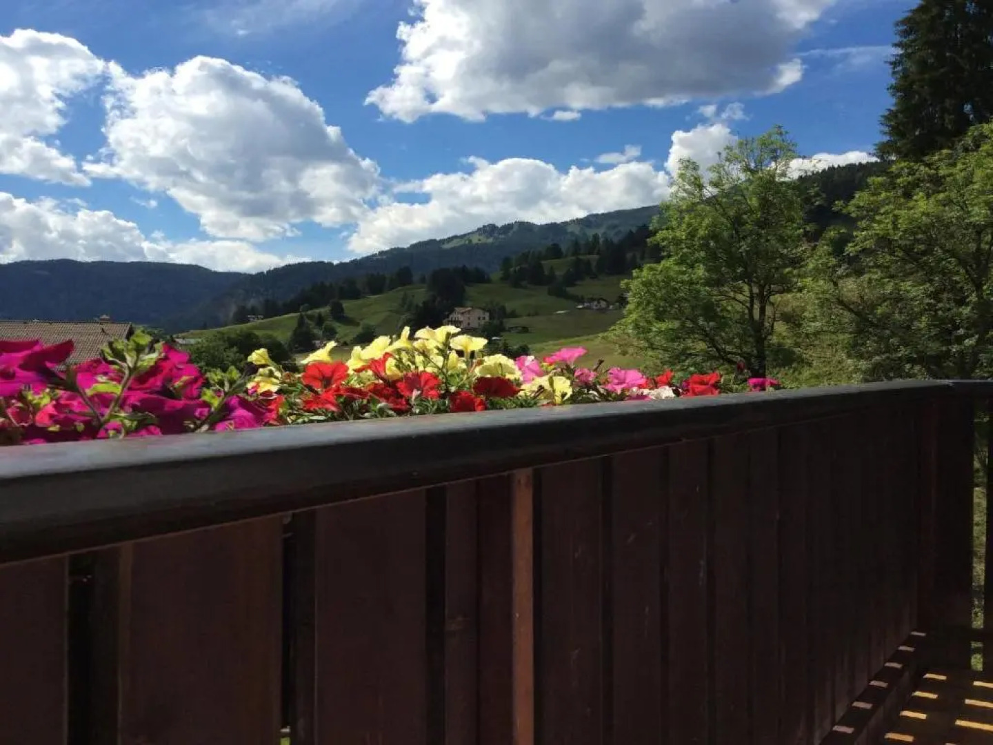 Centro Thule - Genziana