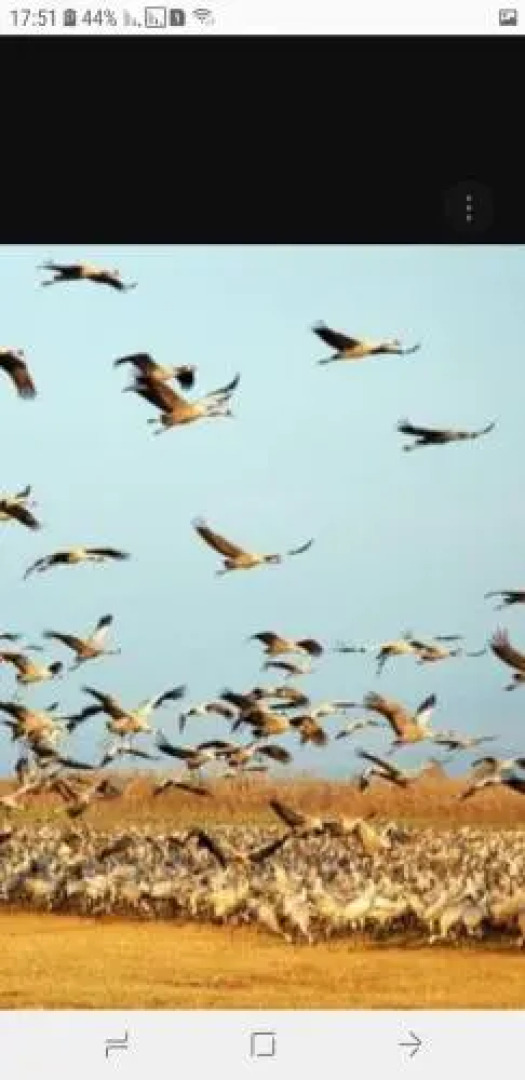 Savyon Apartment in Galilee