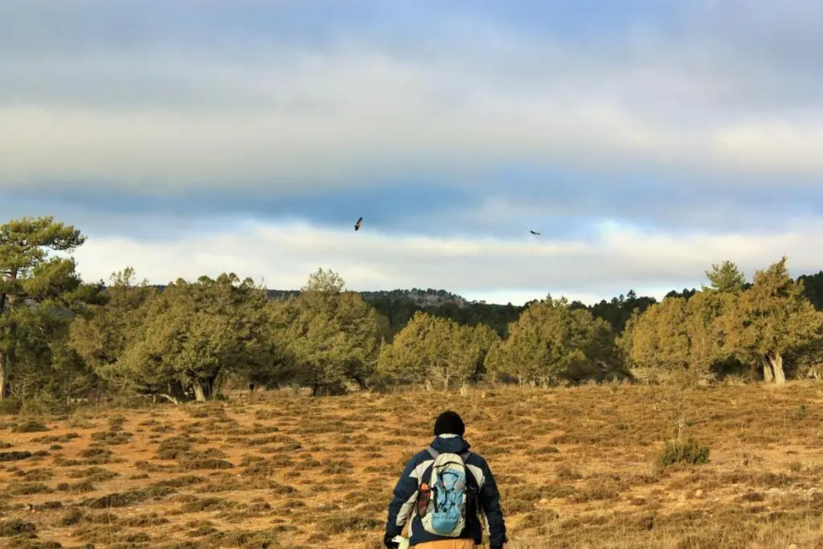 Casa Rural El Escalerón