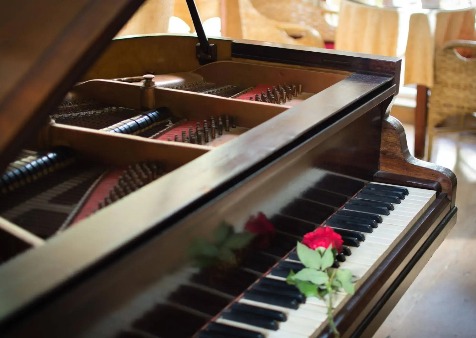 El Oumnia Puerto & Spa