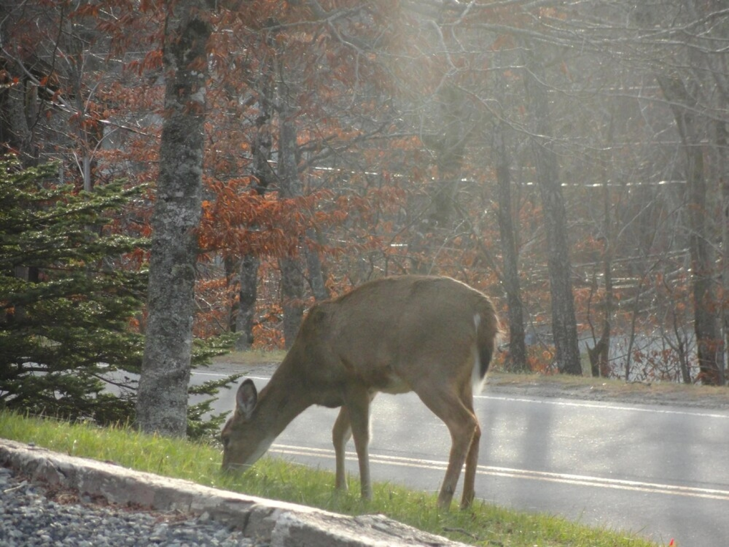 VCI - Klonteska Condominiums #A6