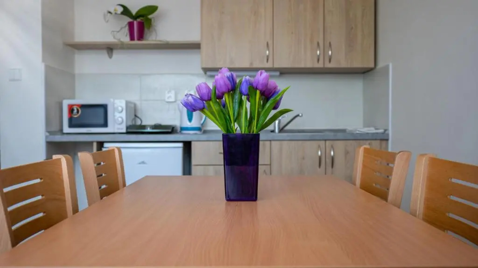 Apartmany a Studia Zamecky park