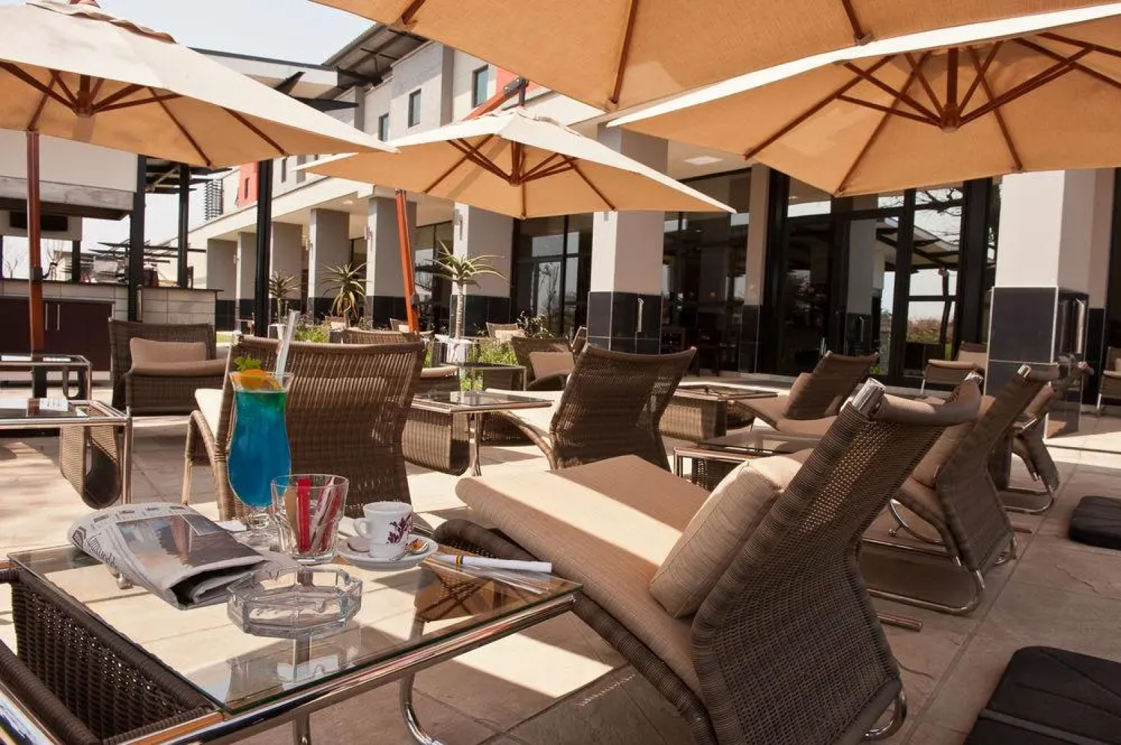 The VIP Executive Baobab