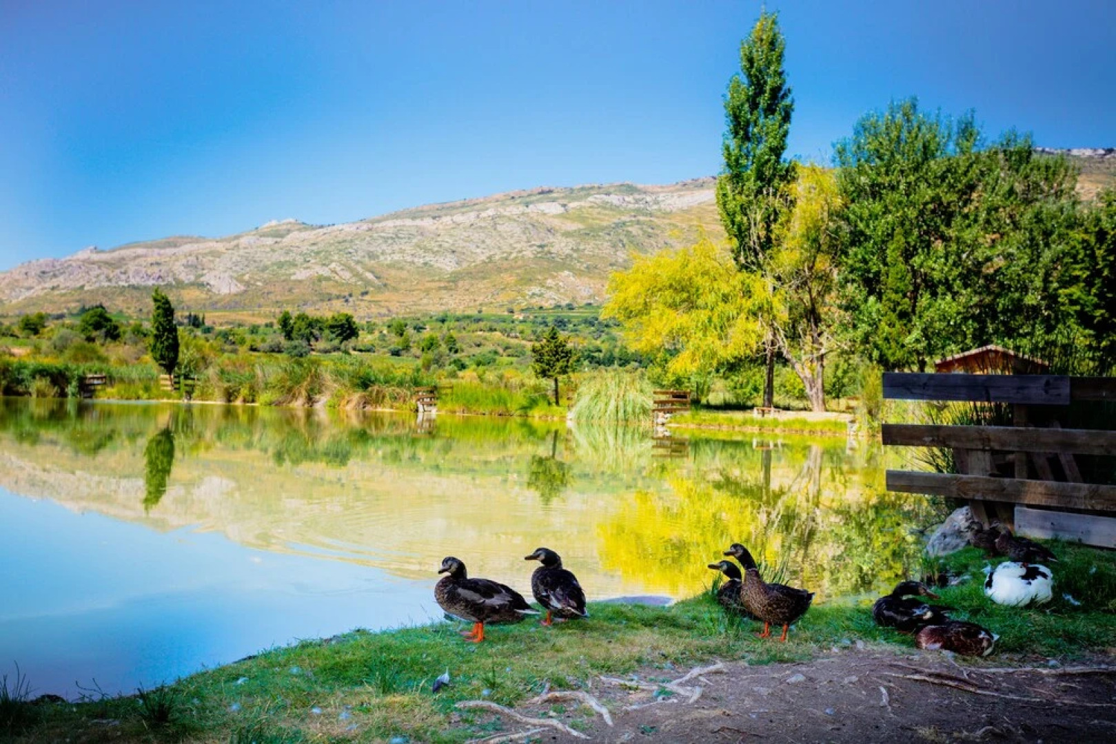 Lodge en Pays Cathare