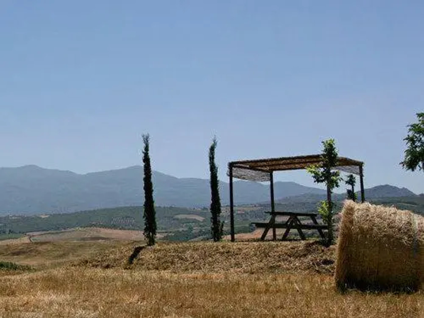 Azienda Agricola Parmoleto