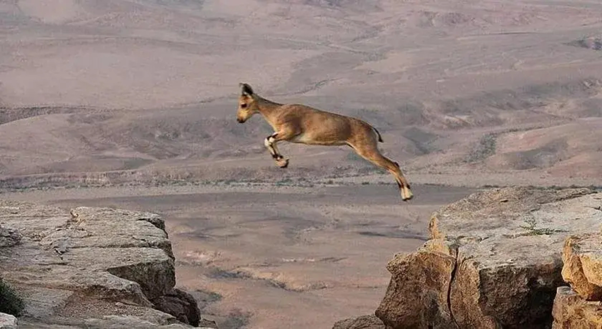 4 Zimmers in Mitzpe Ramon