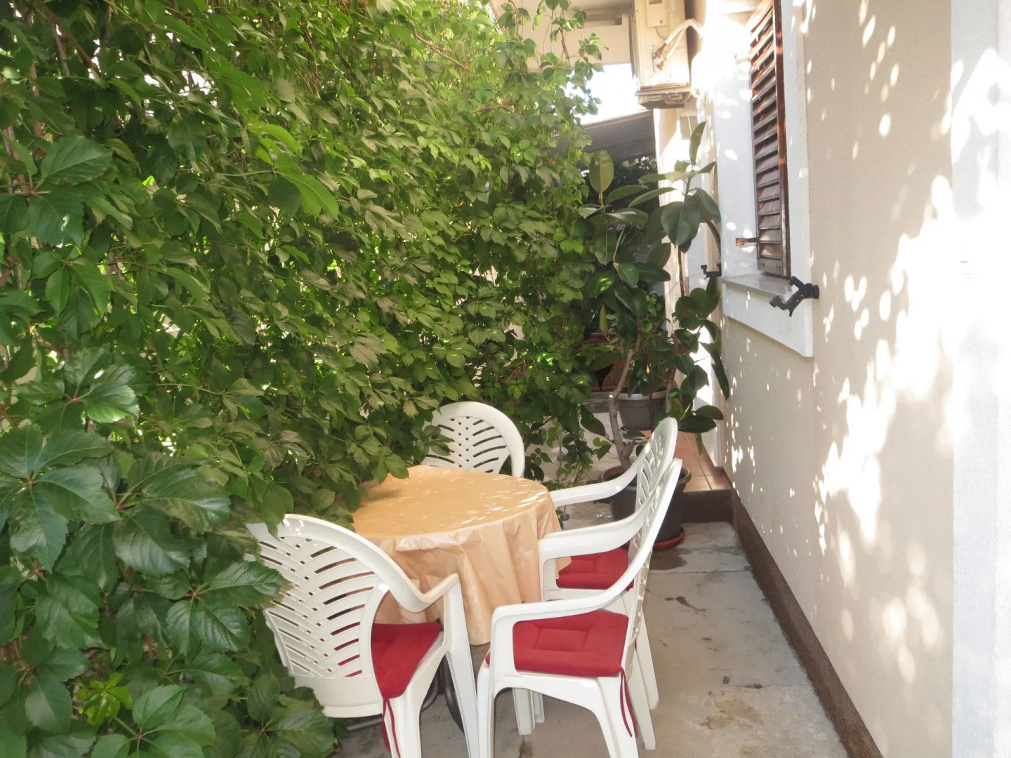 Apartment Ena - near marina "Kornati": A1 Biograd, Riviera Biograd