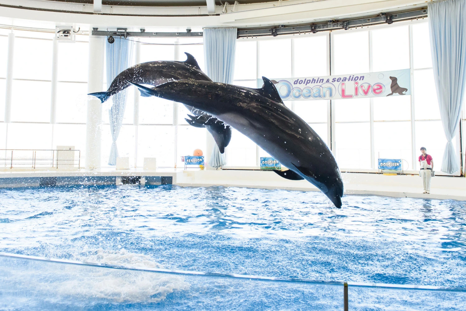 Ooarai Seaside Hotel