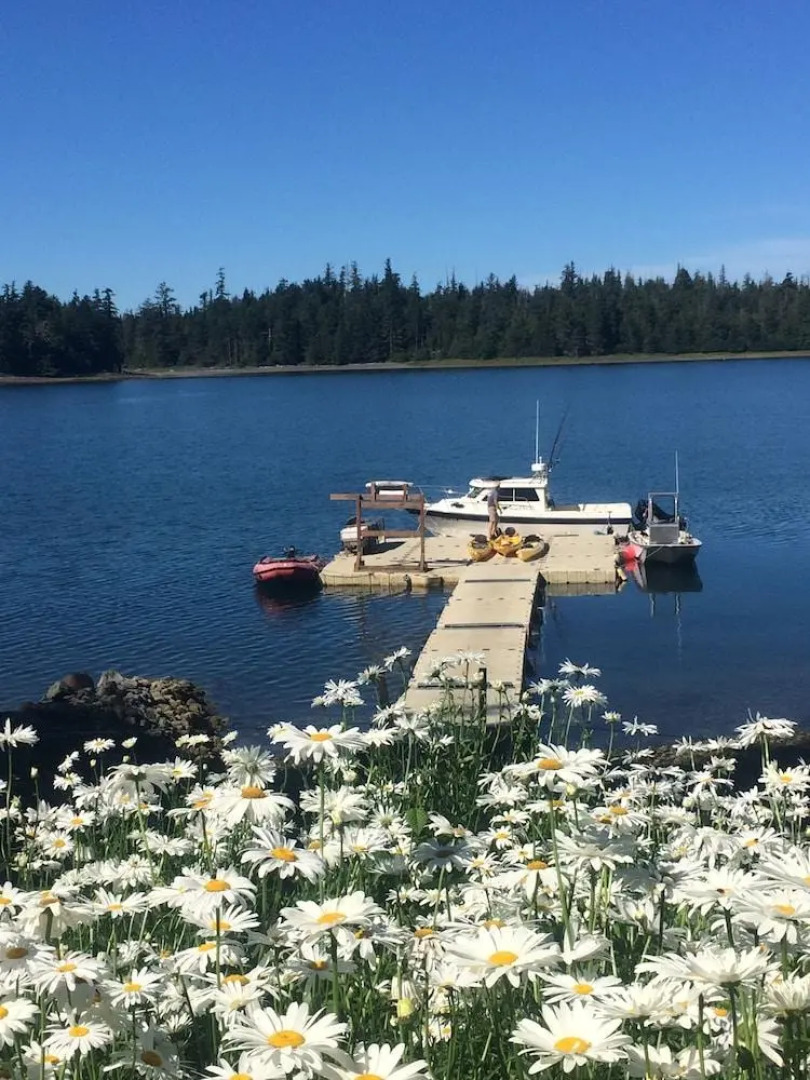 Eagles Wings Wilderness Lodge