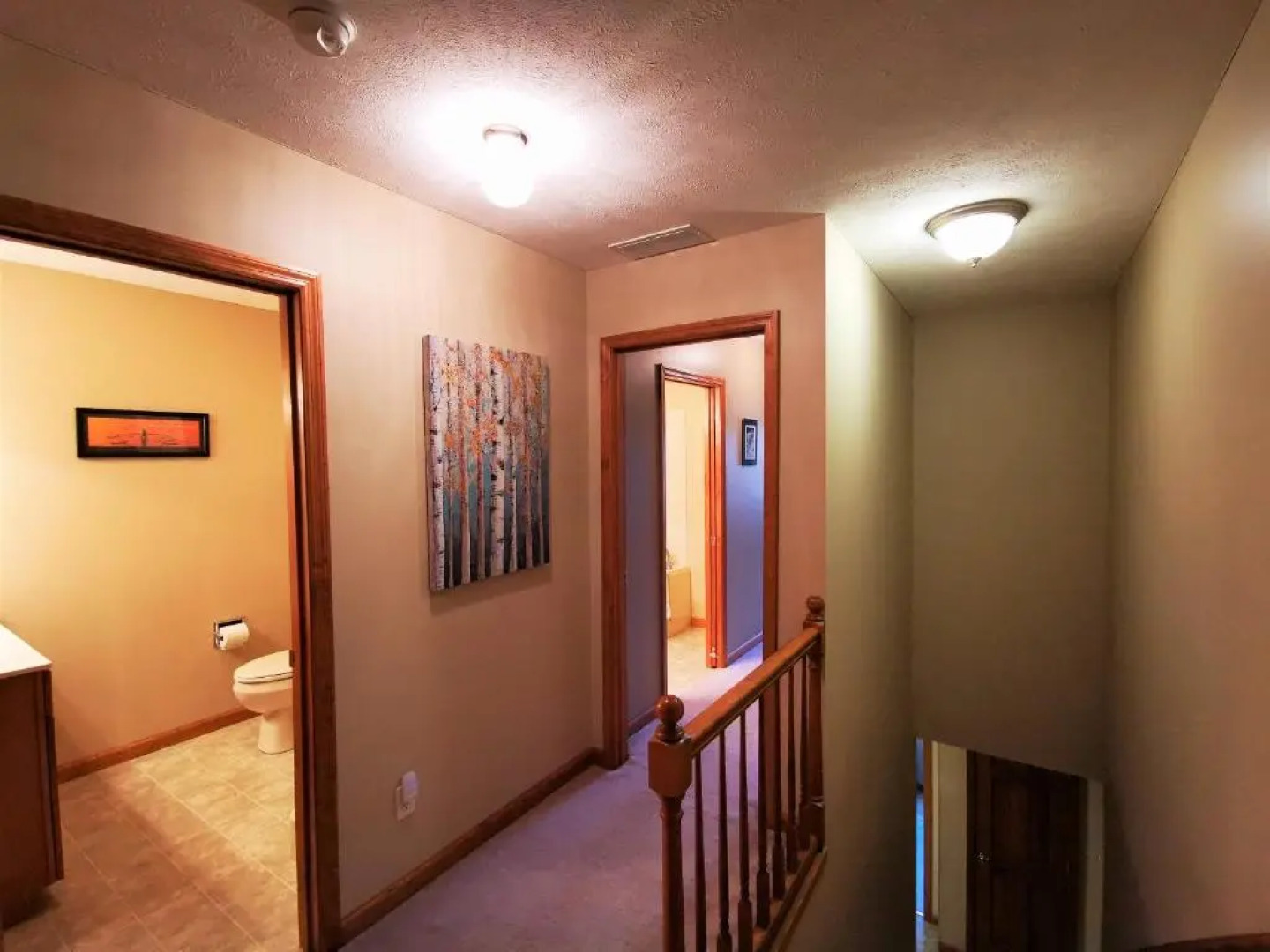 Gorgeous House for Ski Retreat or Mountain Vacations