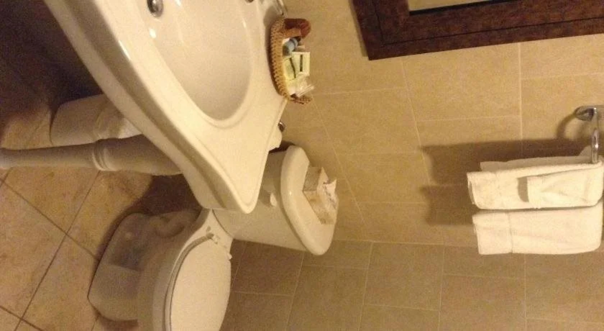 Auberge des 3 Canards