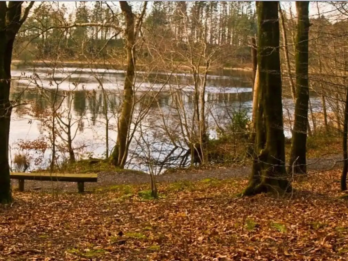 Killyliss Country House