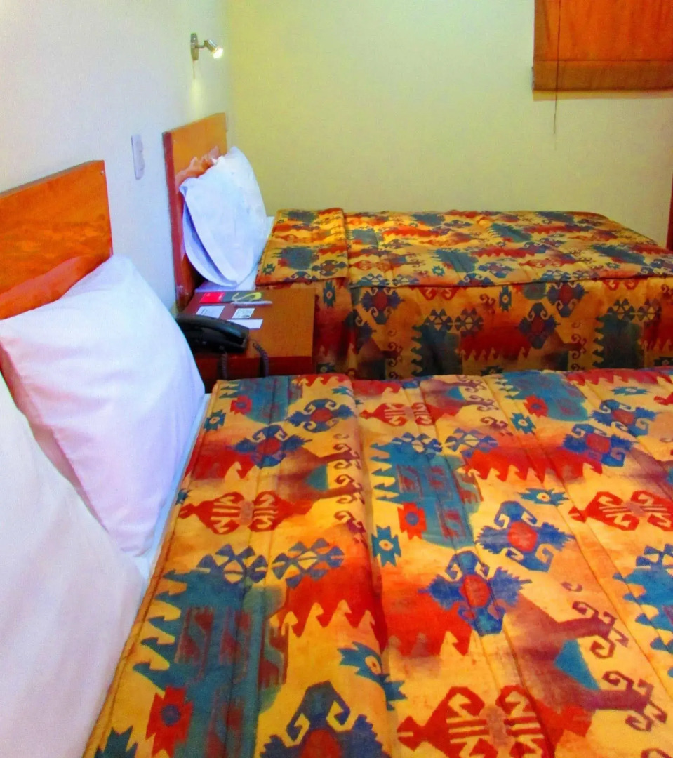 Palau Amazonas Hotel