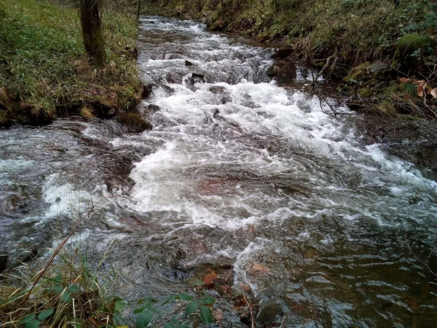 Bed & Breakfast Apartment in Herzberg am Harz