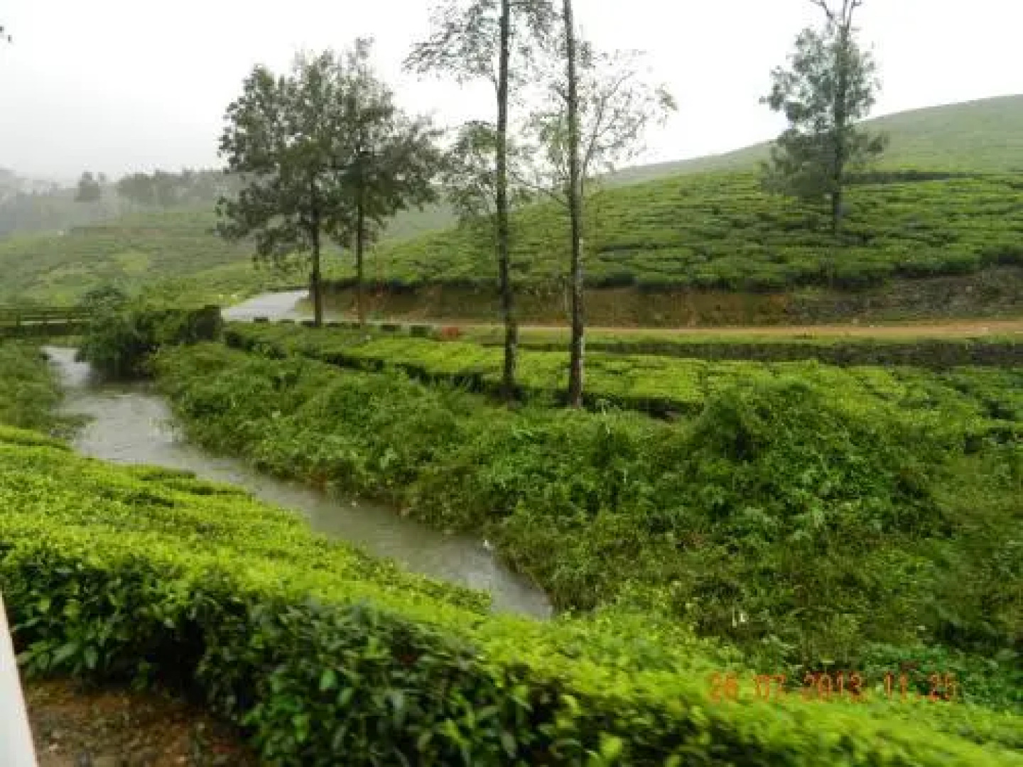 Shawn Dale Residency