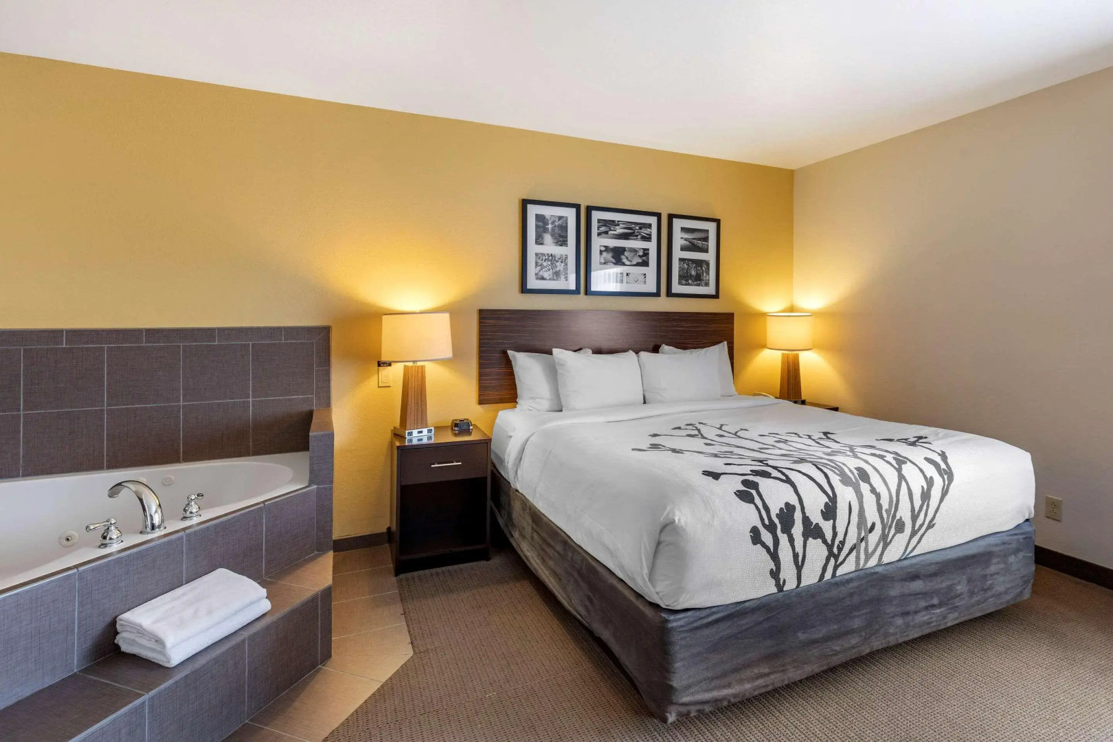 Sleep Inn & Suites Miles City