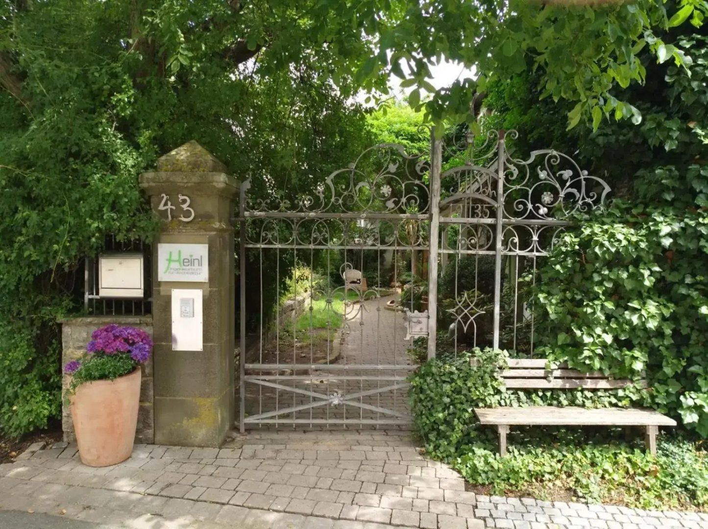 Into The Green Apartment