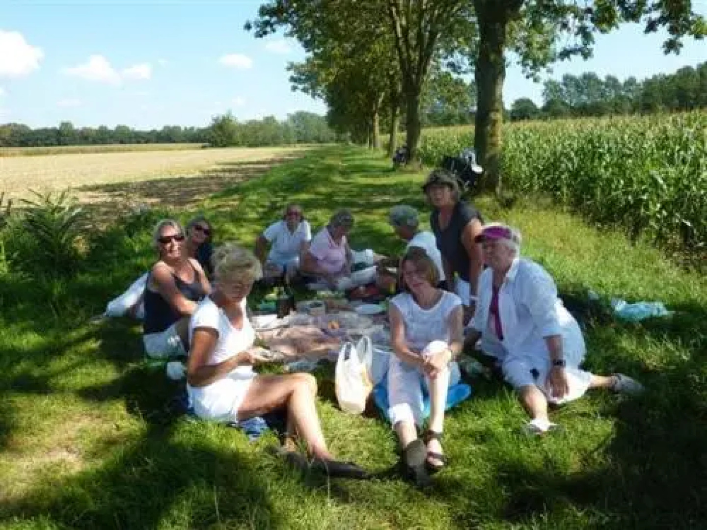 Bed & Breakfast BergOpwaerts