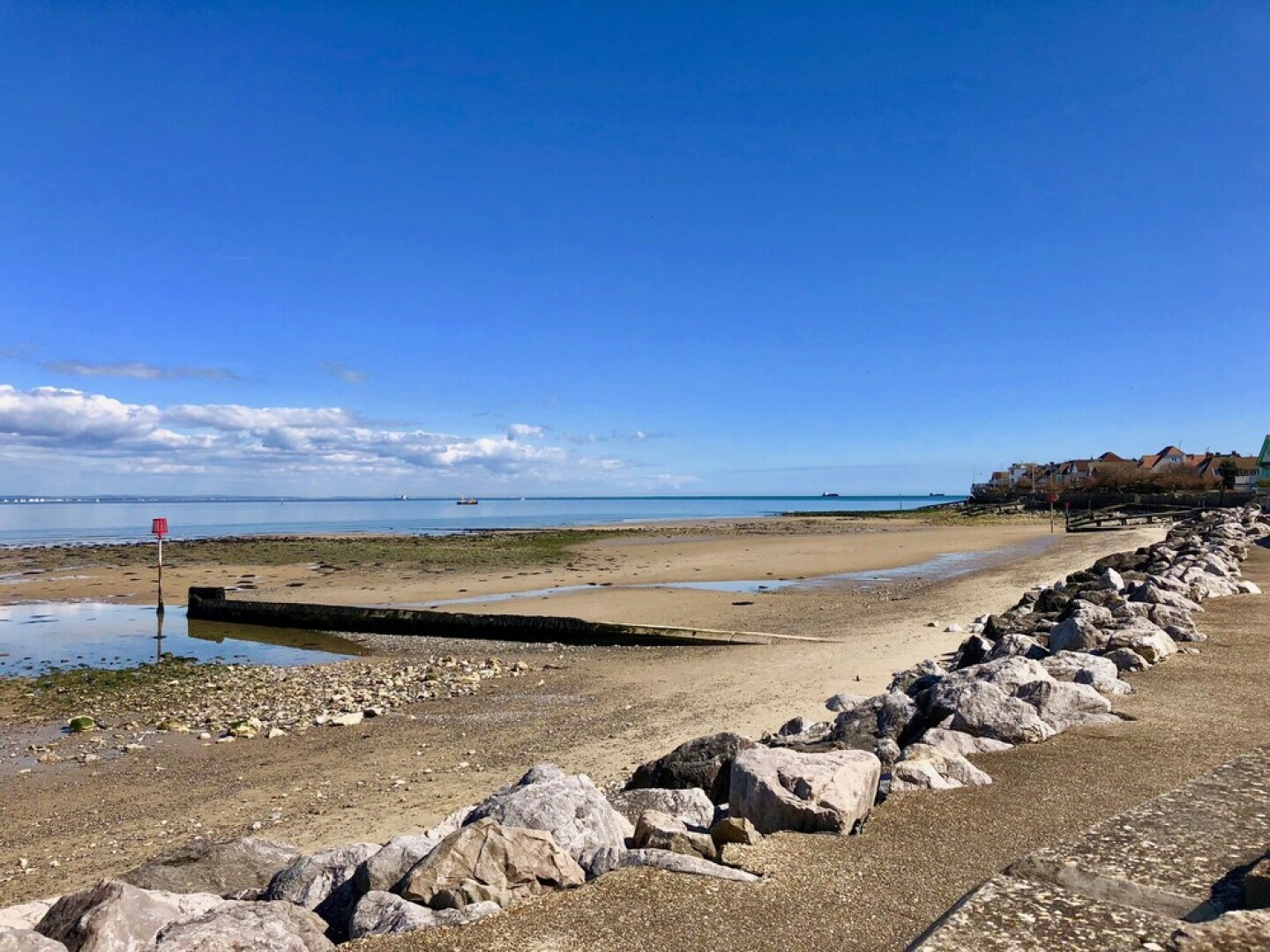 The Seashells - Seaview