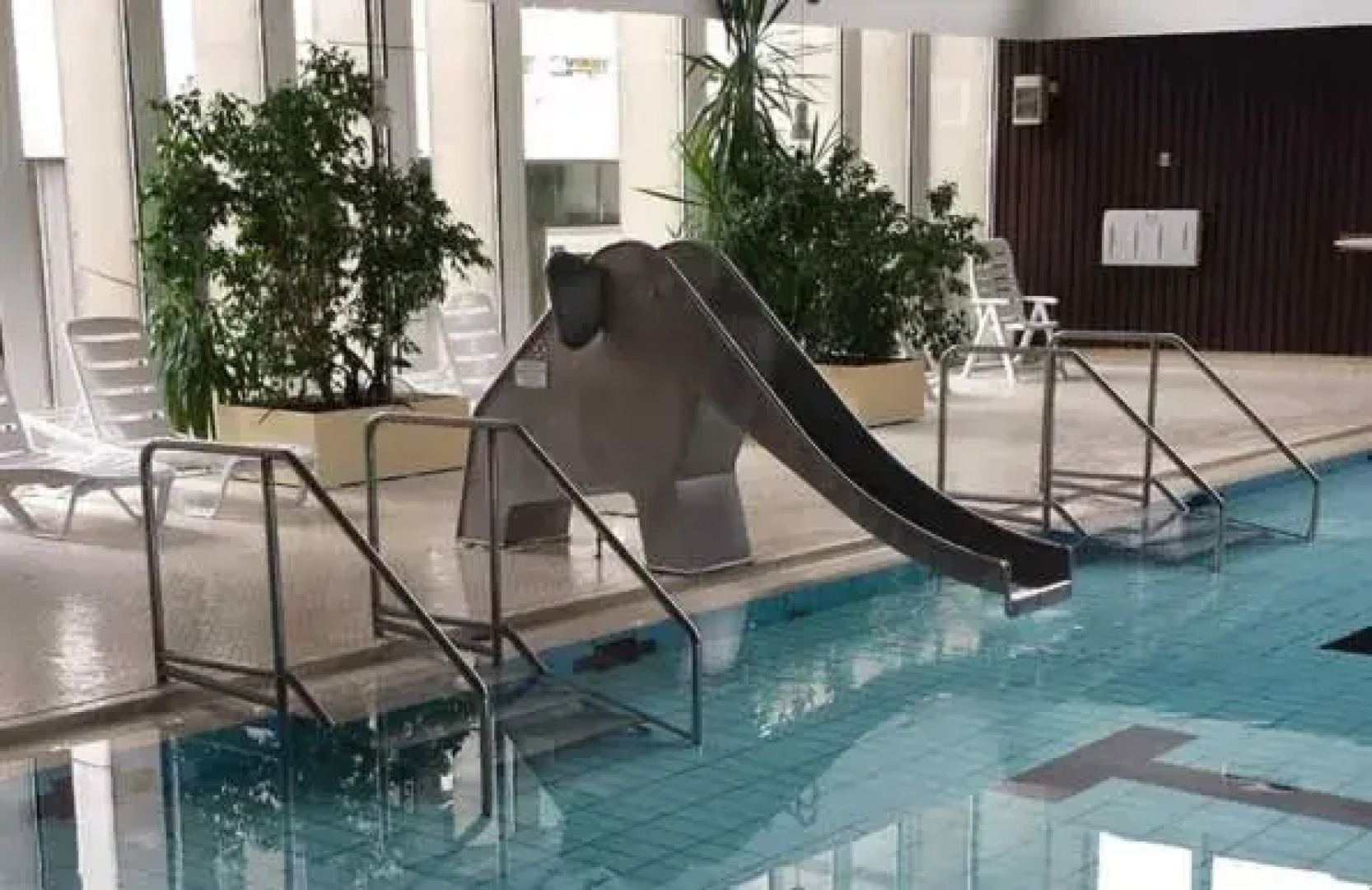 Ferienwohnung Kofferfisch