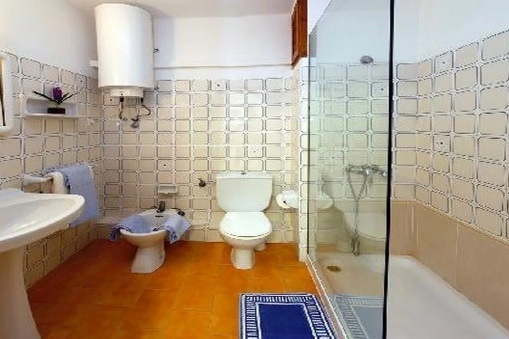 Apartamentos Typic Sandic