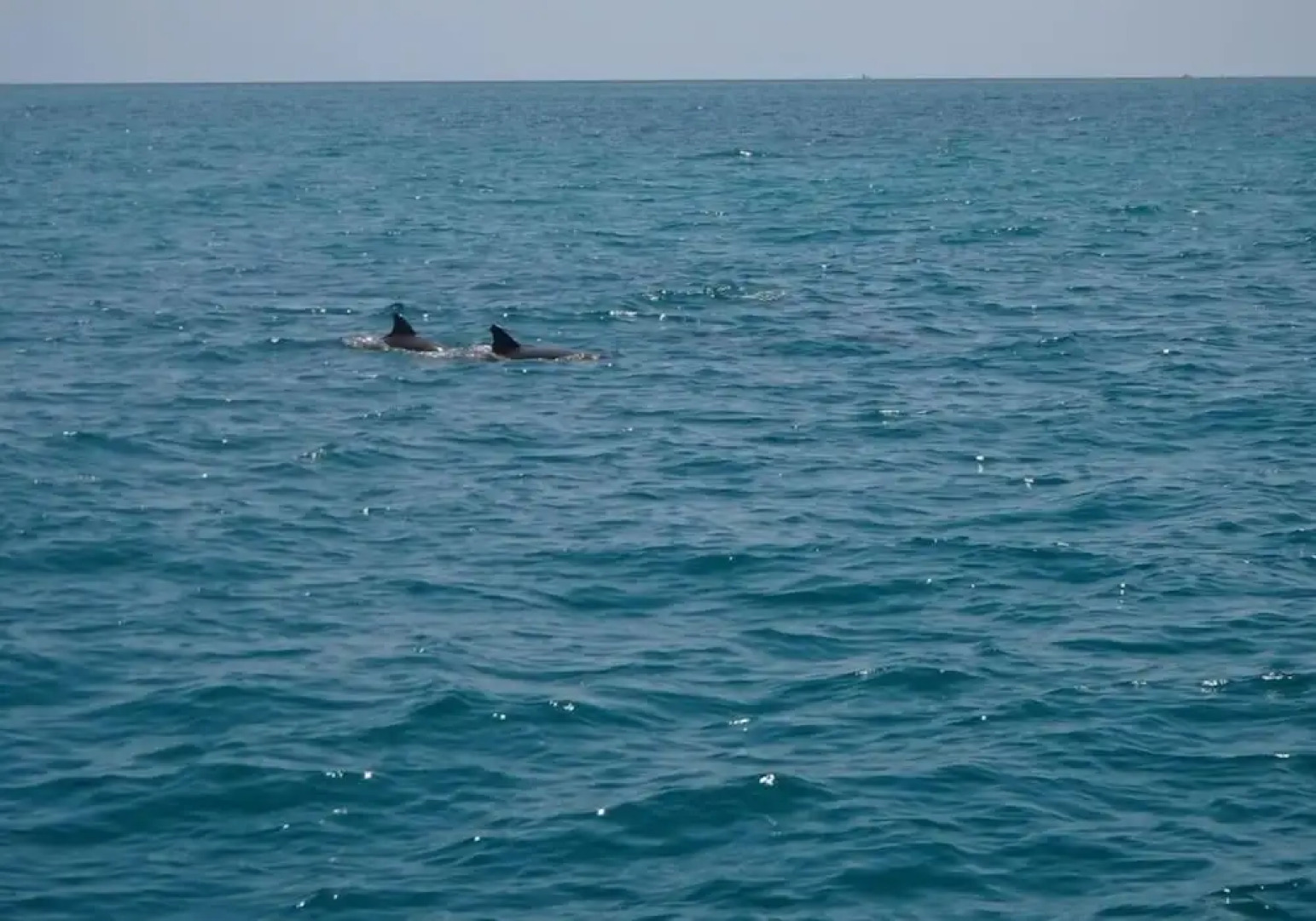 Sail Florida Adventures