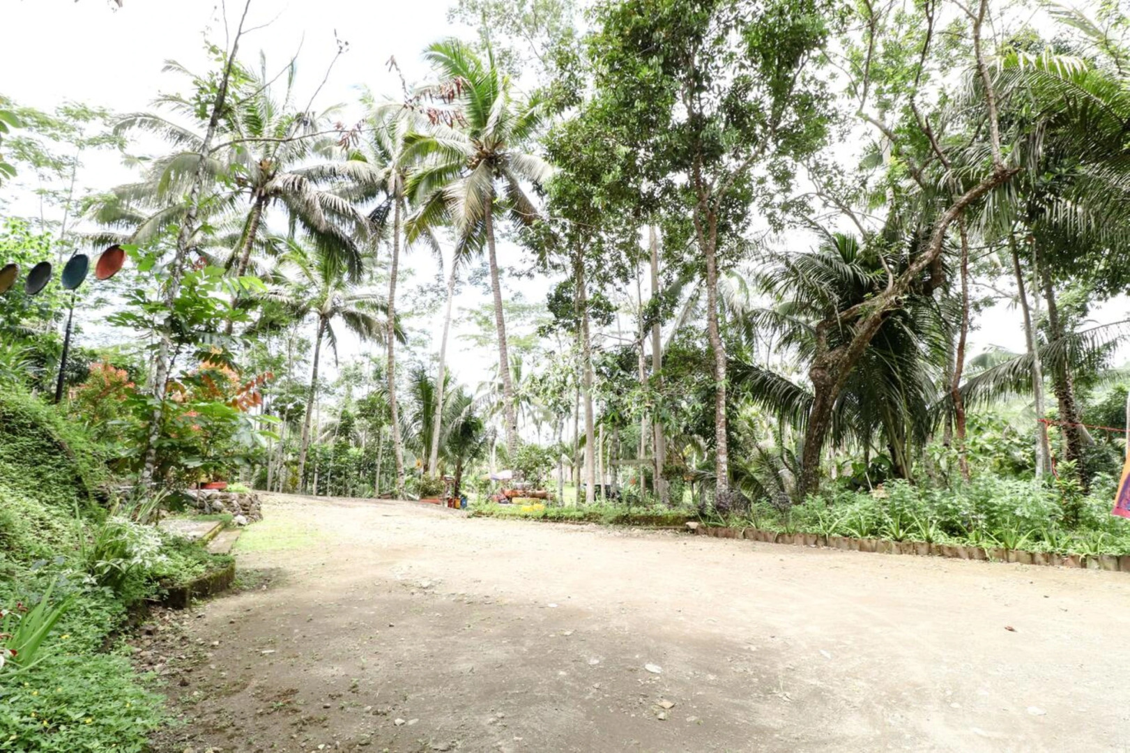 Segajih Central Stay and Education