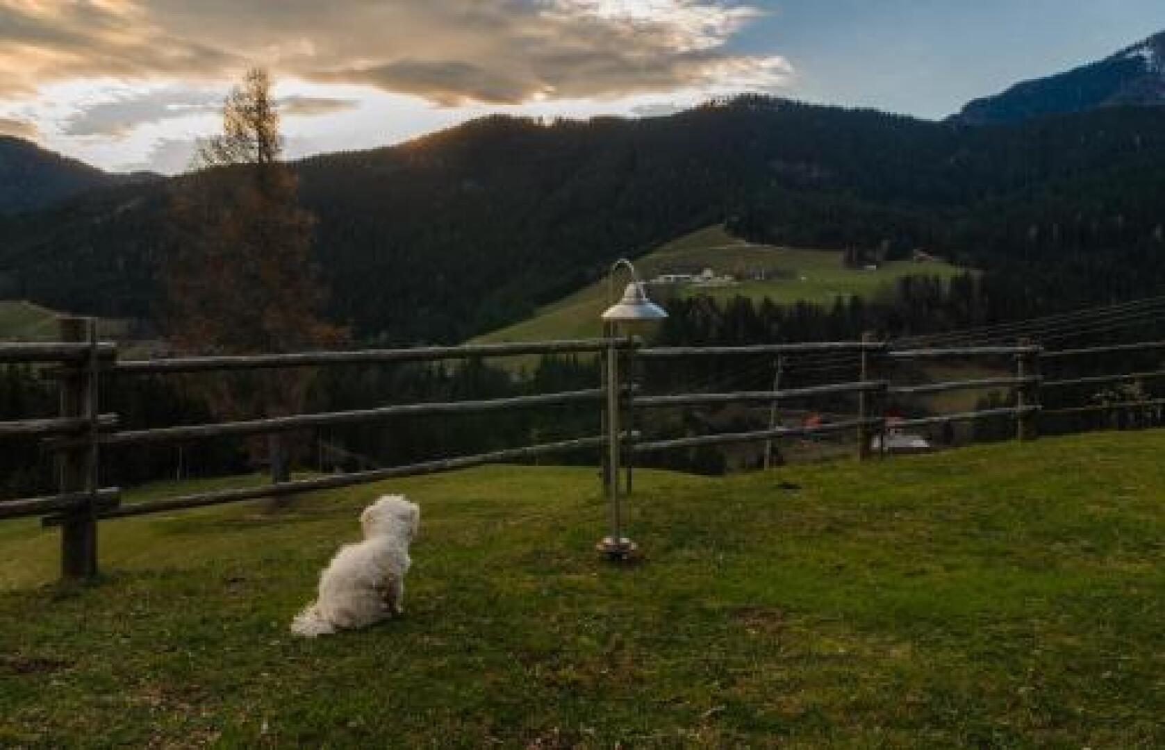 Guest House Hiša Sonca Luče