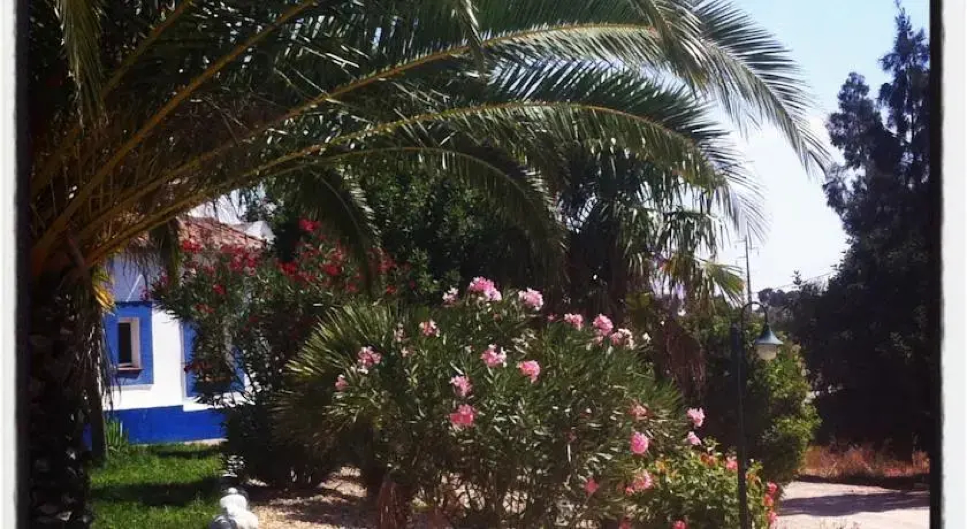 Monte Aguentinha Do Campo