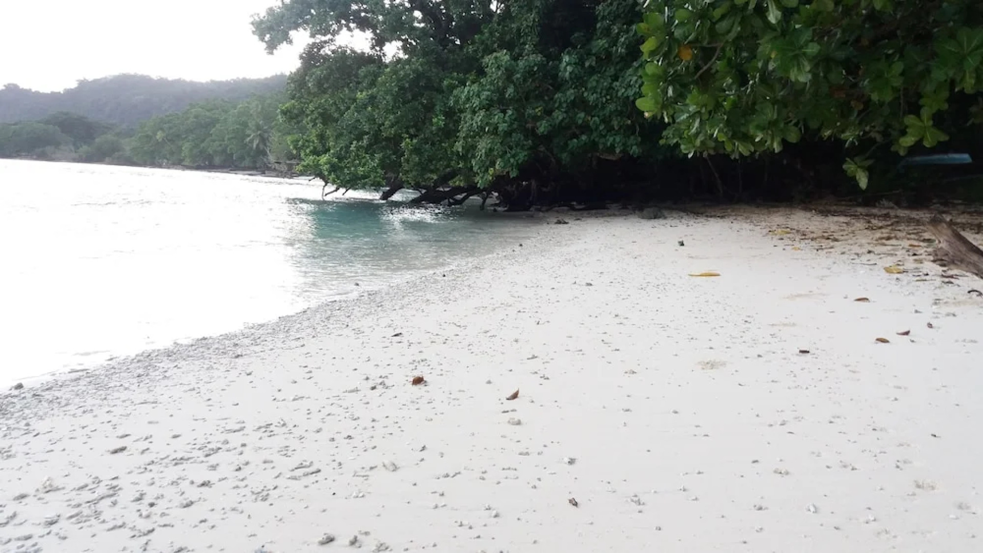 Tanna Eco Venture Bungalow