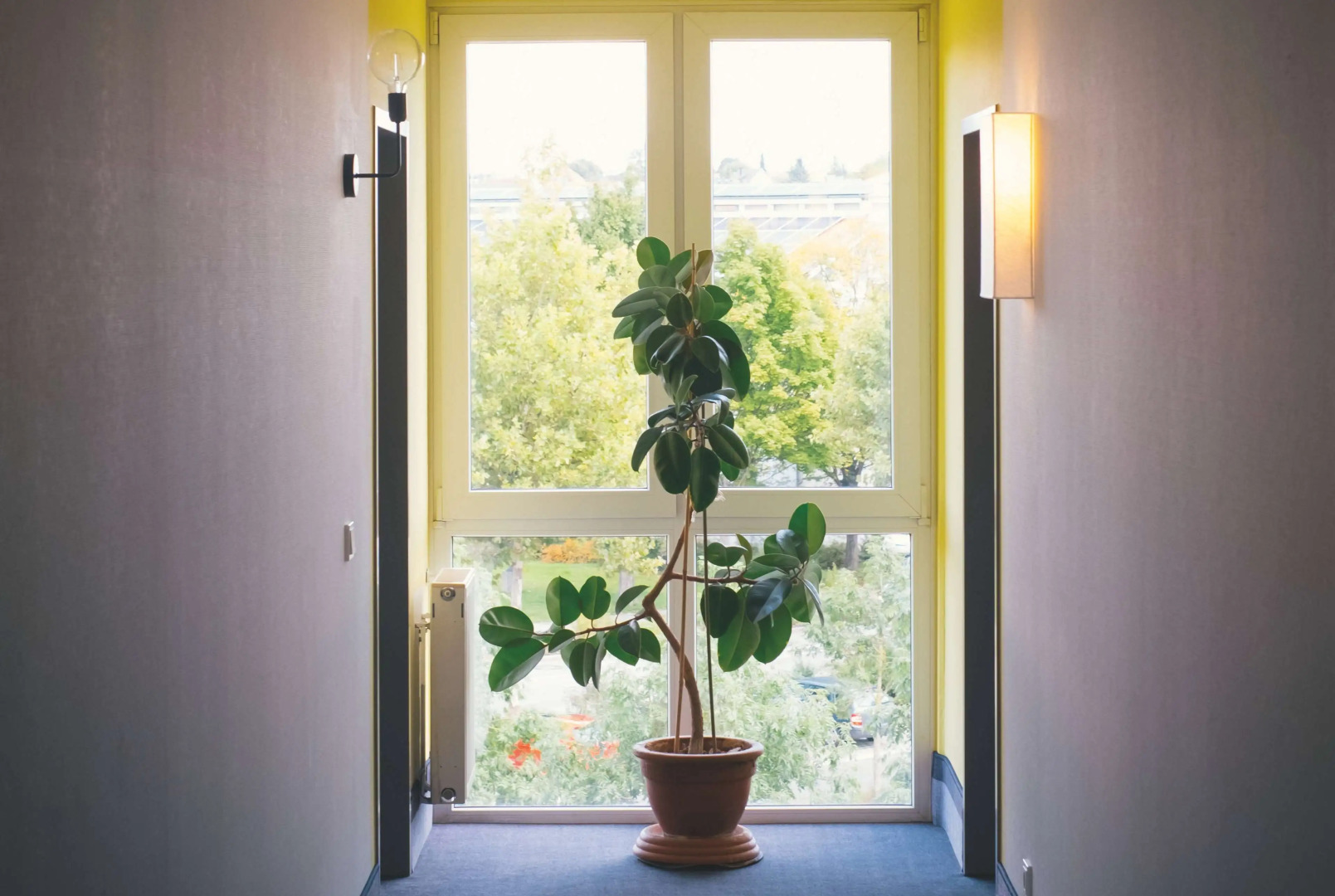 Vienna House Easy by Wyndham Amberg