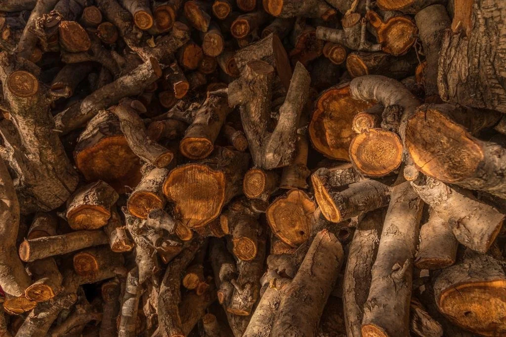 Desert Bird Guest House