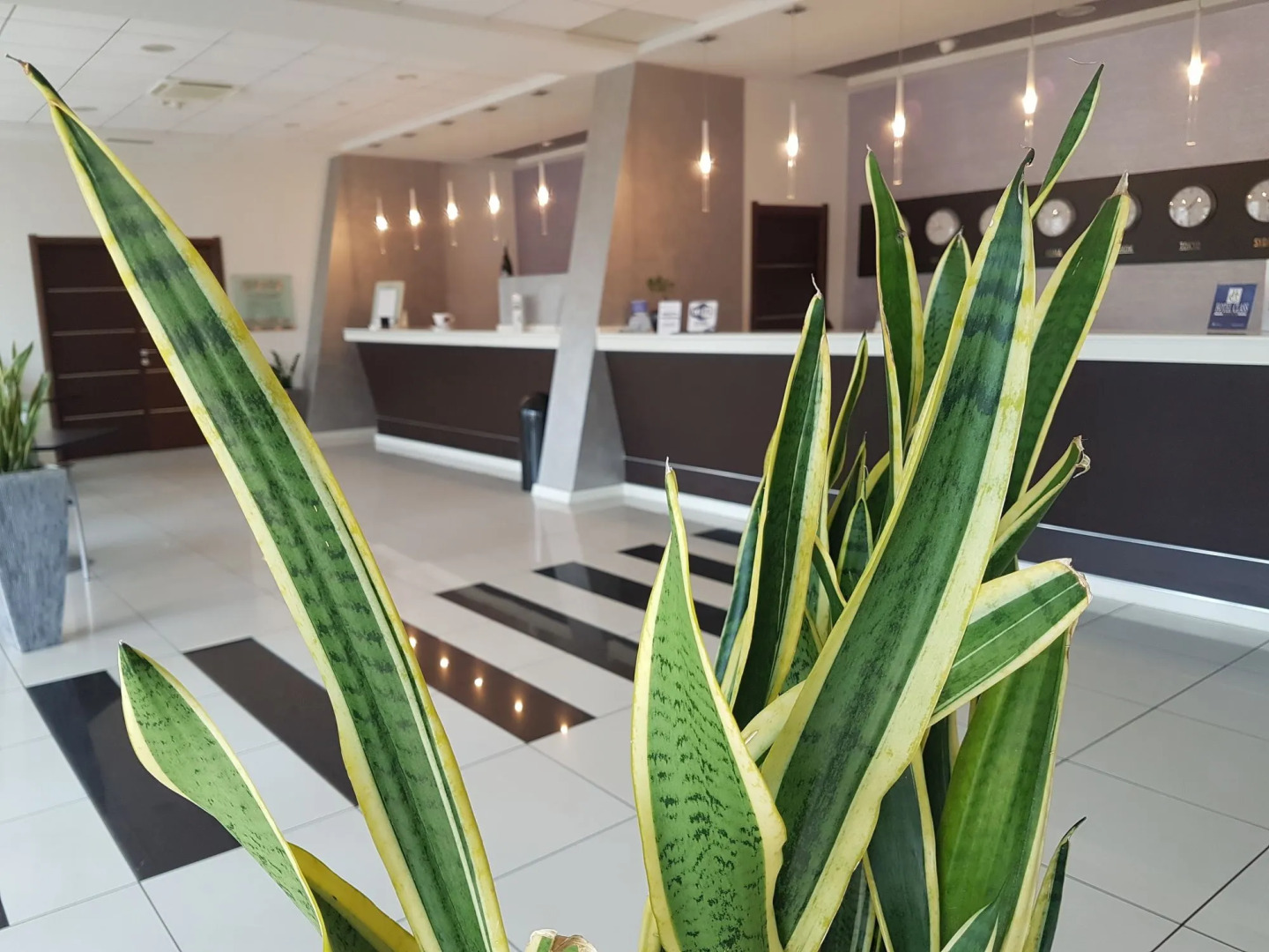 Best Western Hotel Class