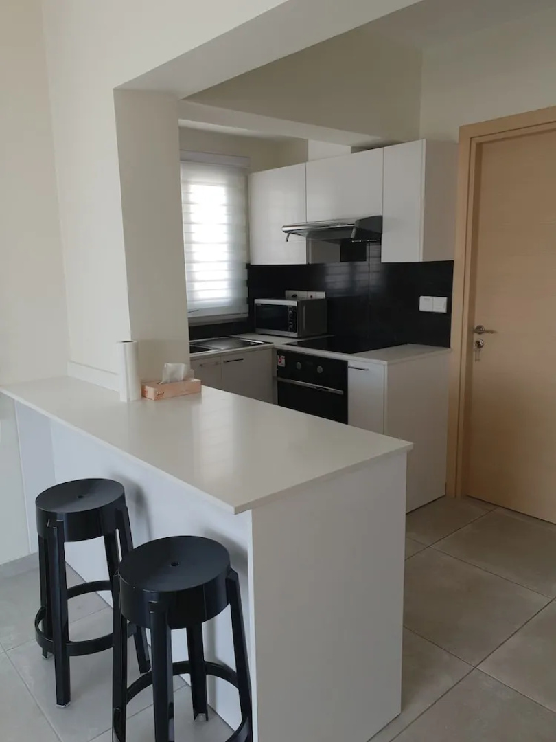 Luxury modern spacious flat in Egkomi