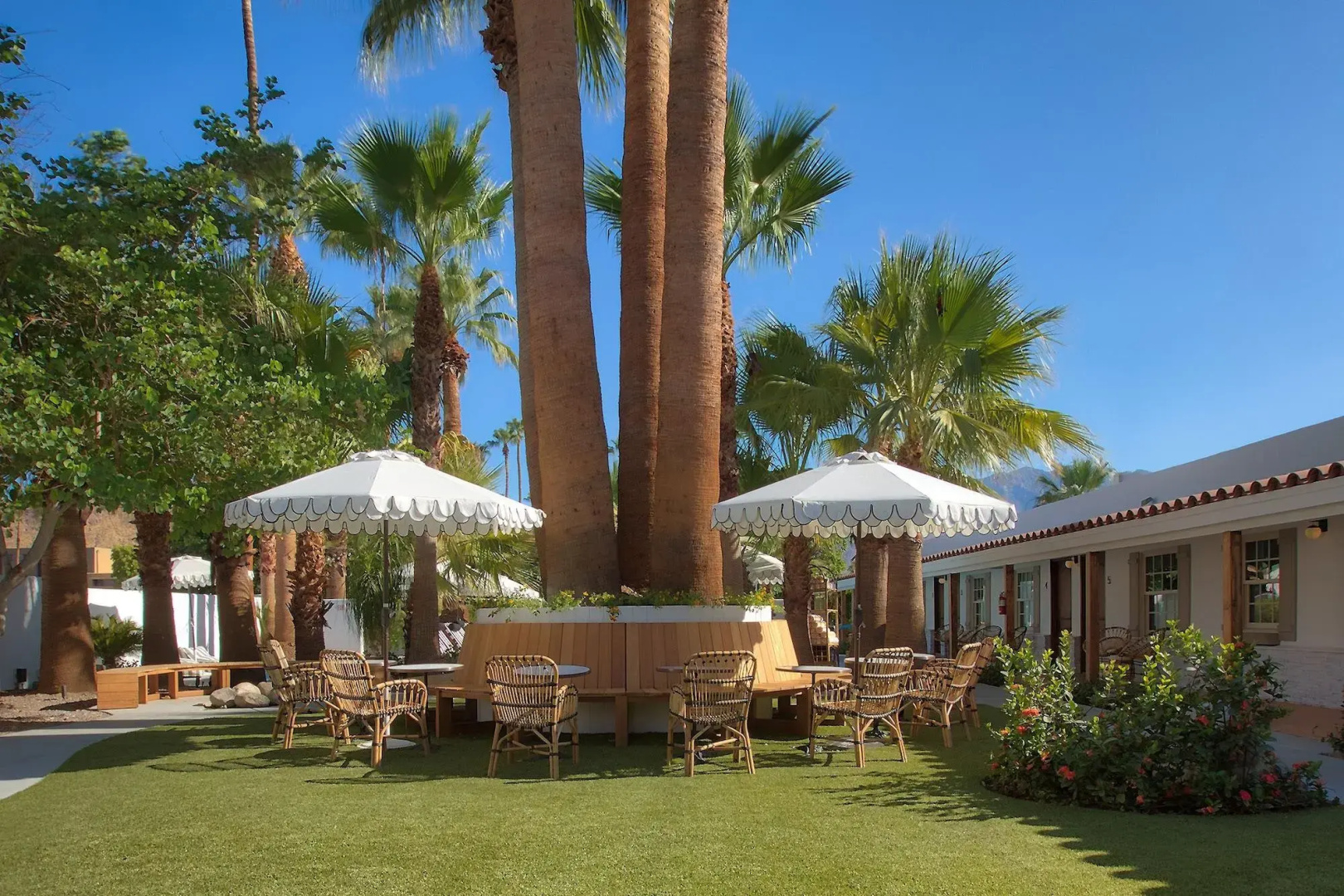 Dive Palm Springs