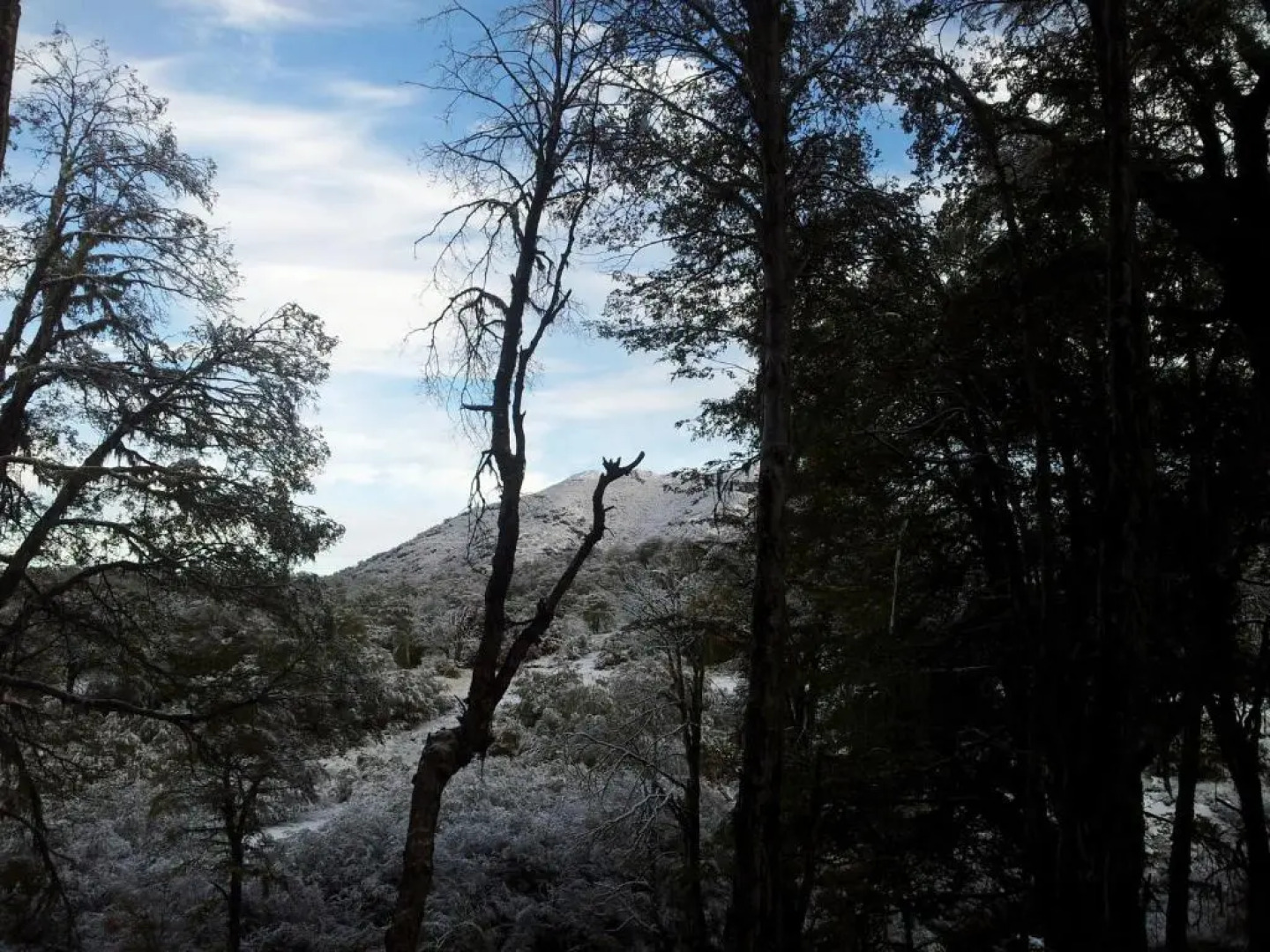 Depto Andes de Chillán