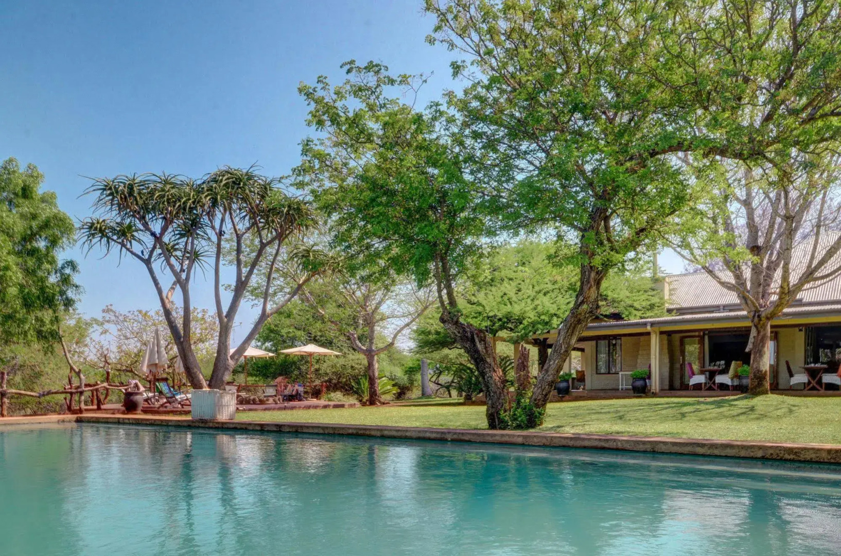 Africamps at White Elephant Safaris