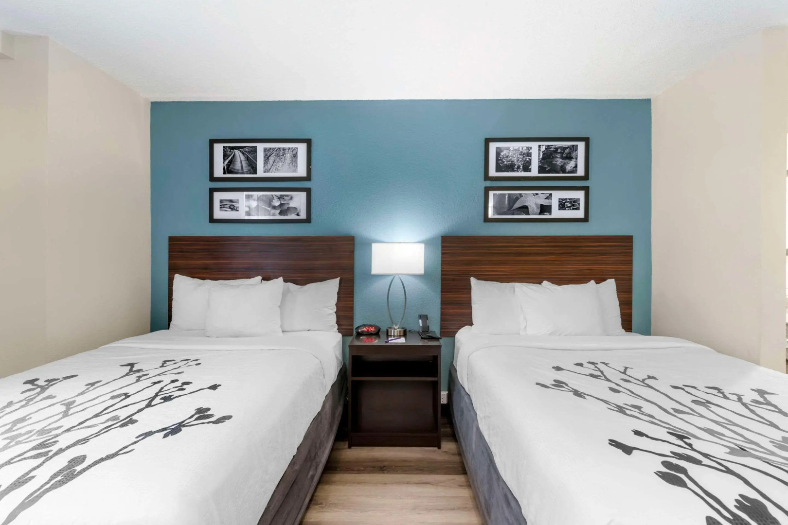 Sleep Inn Mt. Pleasant - Charleston